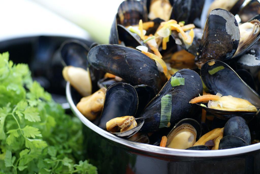 Hotel Restaurant De Boekanier Vrouwenpolder Ngoại thất bức ảnh